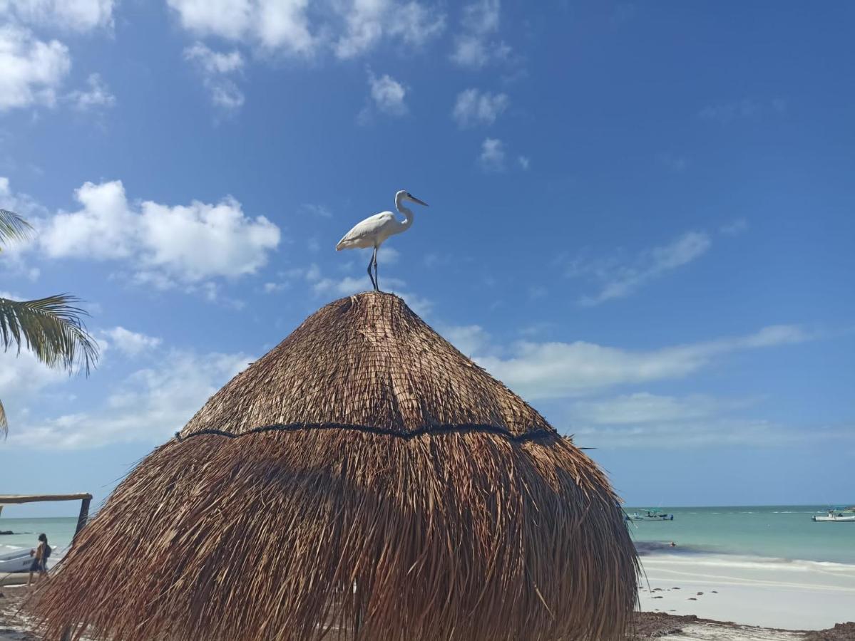 Hostel Utopia Isla Holbox Zewnętrze zdjęcie